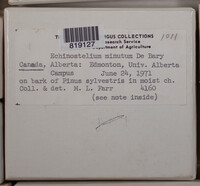 Image Associated With the Occurence